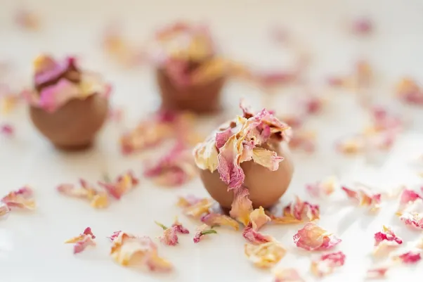 Casino Rocket Slots Android/iOS aplikacija